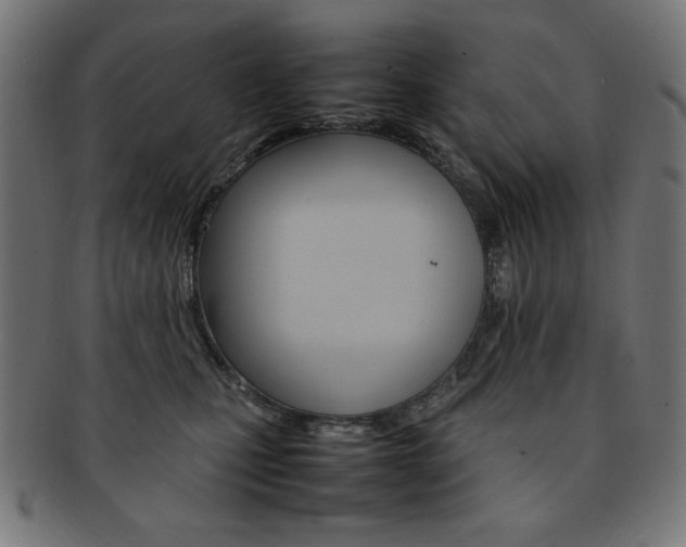 X0000092240471200709141007
