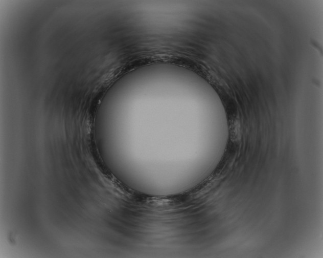 X0000092240472200709141007