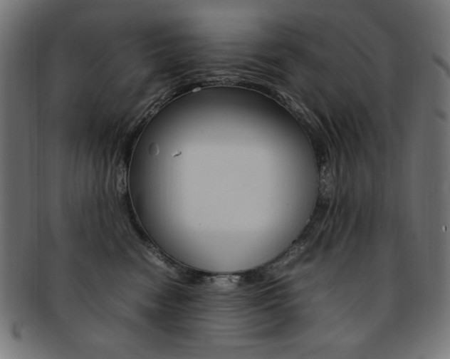 X0000092240474200709141007