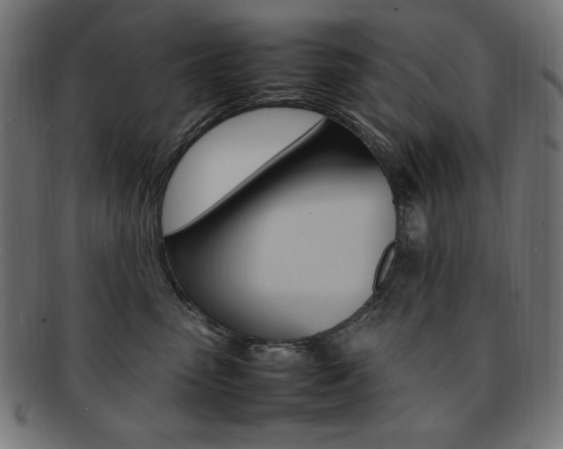 X0000092240475200709141007