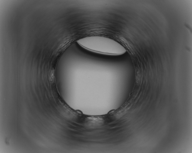 X0000092240477200709141007
