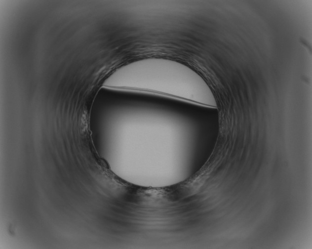 X0000092240478200709141007