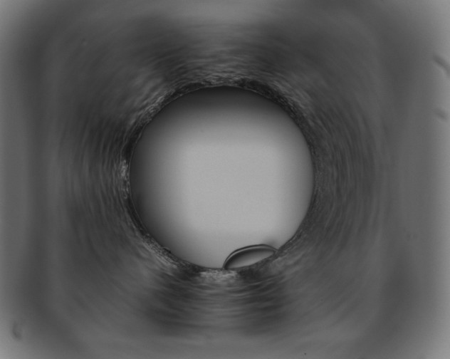X0000092240480200709141007