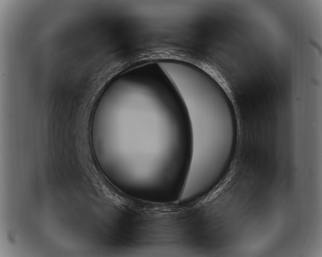 X0000092240481200709141007