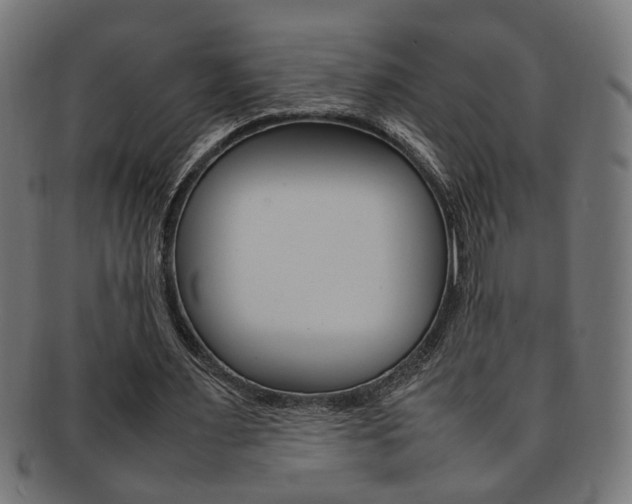 X0000092240483200709141007