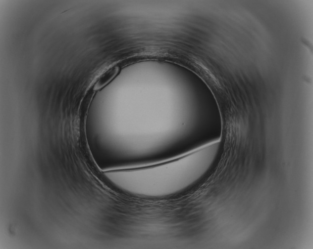 X0000092240484200709141006