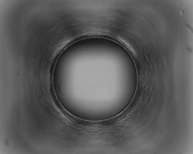X0000092240485200709141006