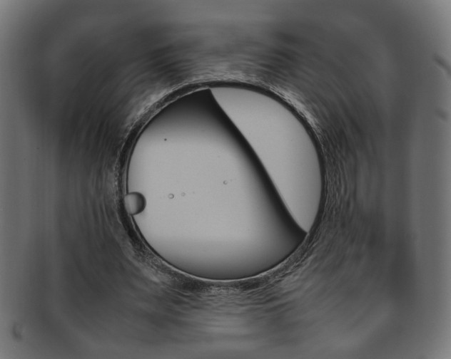X0000092240487200709141006