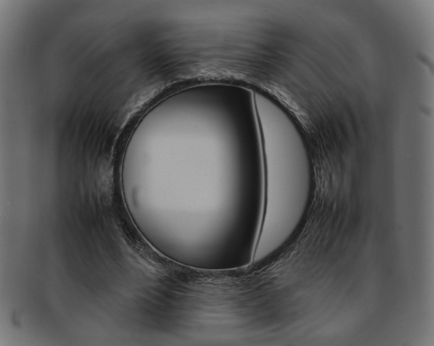 X0000092240488200709141006