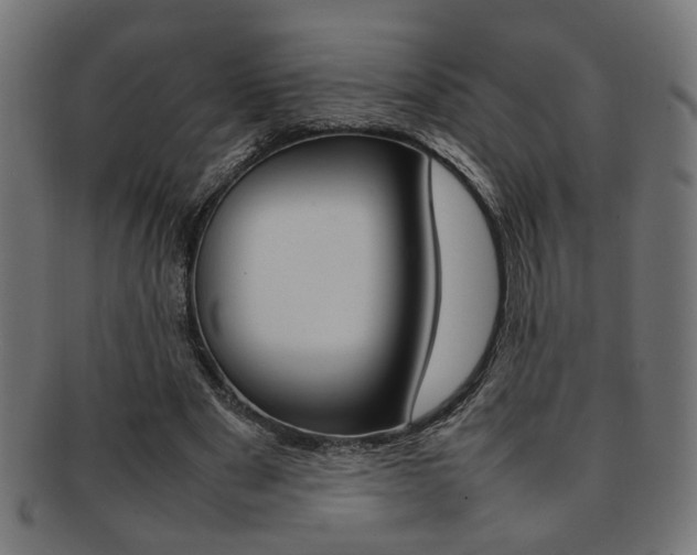 X0000092240489200709141006