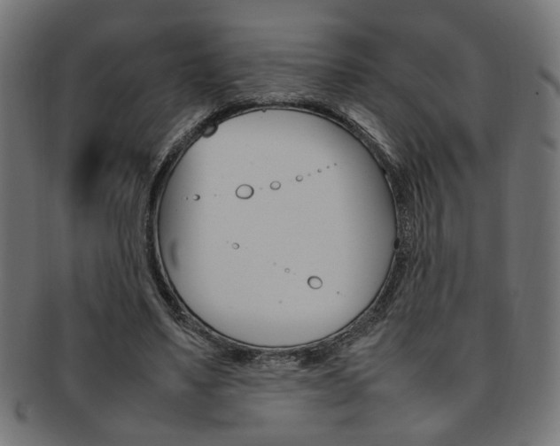 X0000092240491200709141006