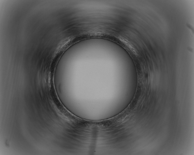 X0000092240494200709141006