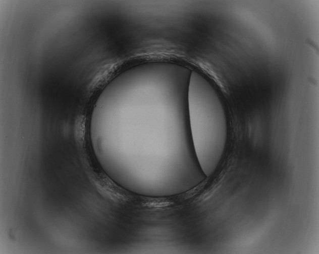 X0000092240495200709141006