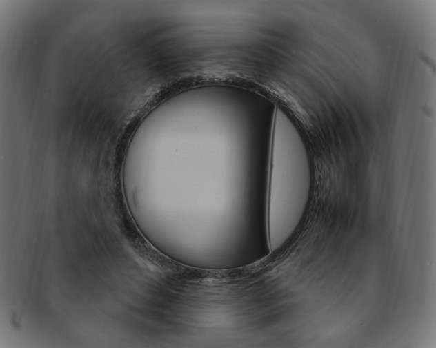 X0000092240496200709141006