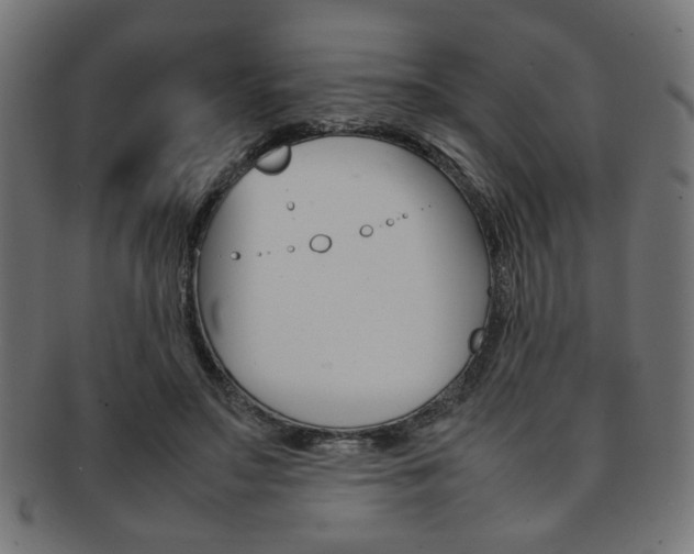 X0000092240499200709141006
