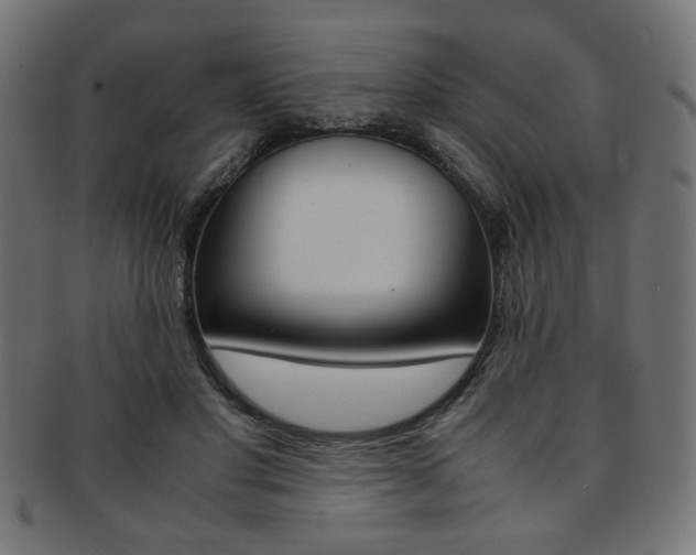 X0000092240501200709141006