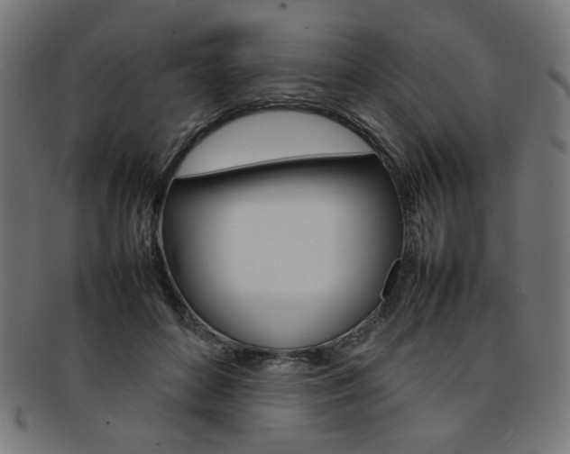 X0000092240504200709141006