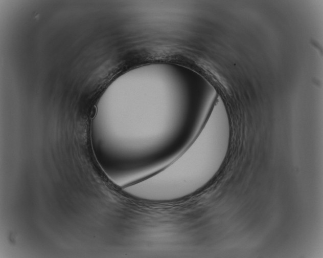 X0000092240505200709141006