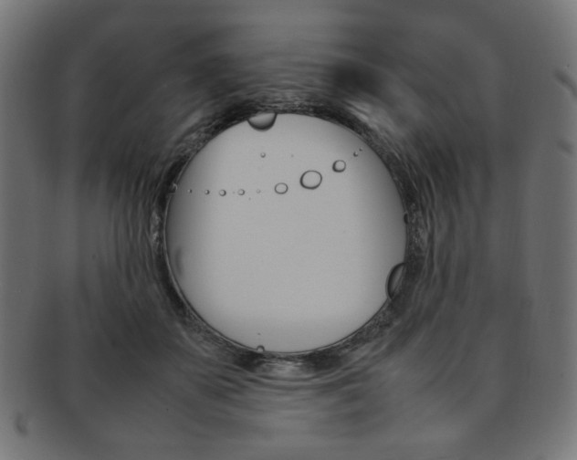 X0000092240507200709141006