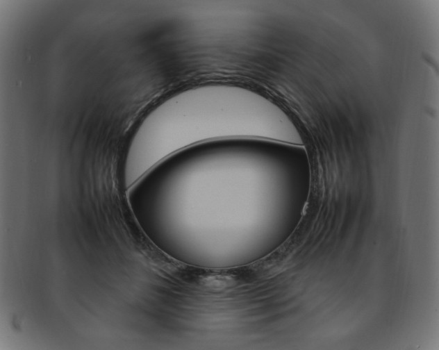 X0000092240508200709141006