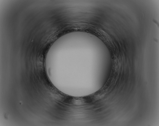 X0000092240510200709141006