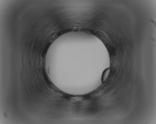 X0000092240511200709141006