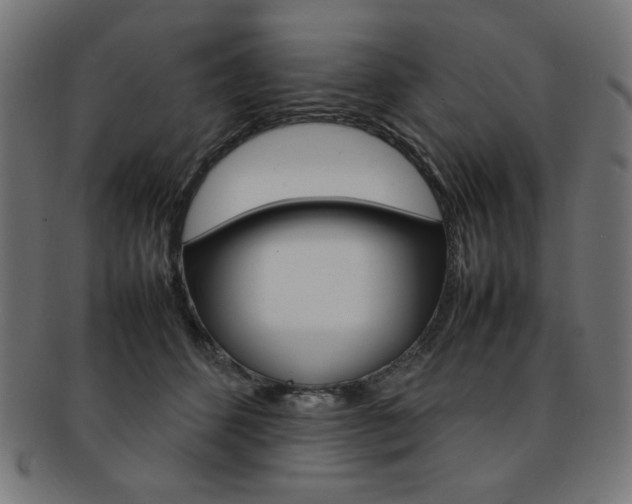 X0000092240512200709141006