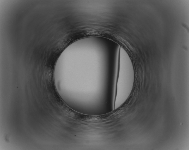 X0000092240513200709141006