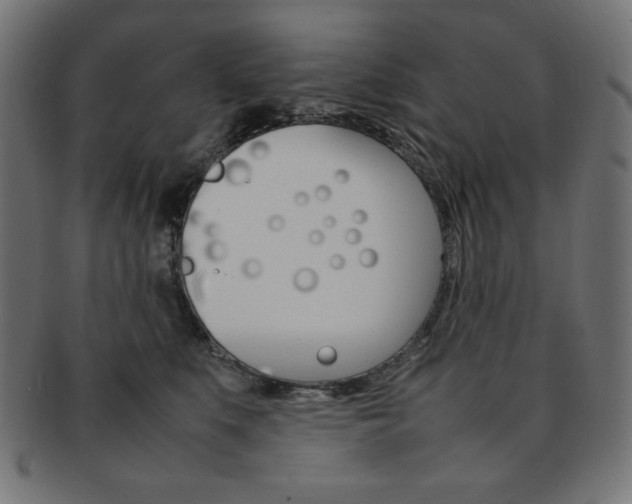 X0000092240519200709141006