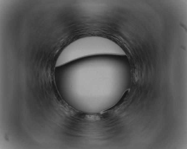 X0000092240520200709141006