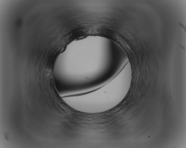 X0000092240521200709141006