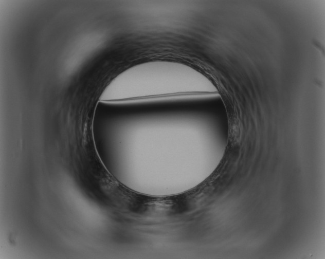 X0000092240525200709141006