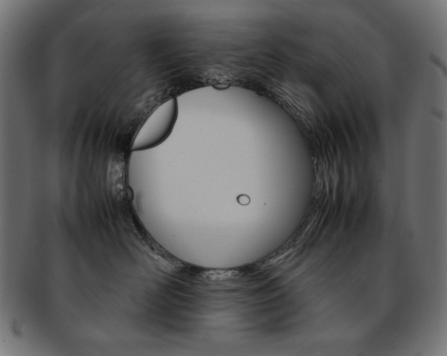 X0000092240526200709141006
