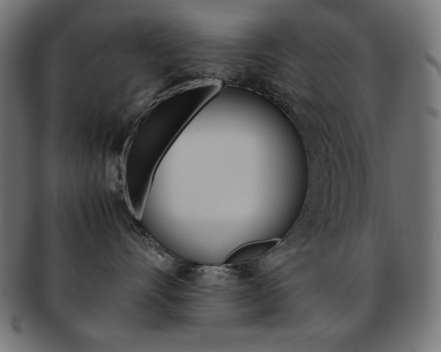 X0000092240528200709141006