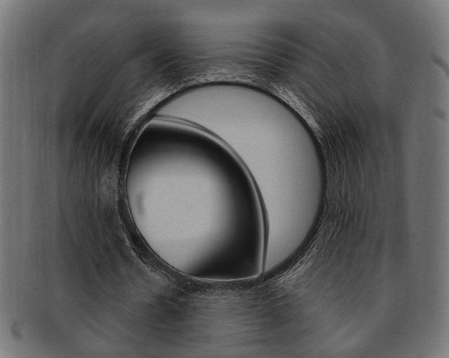X0000092240530200709141005