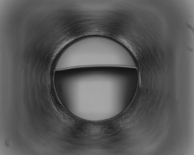 X0000092240531200709141005