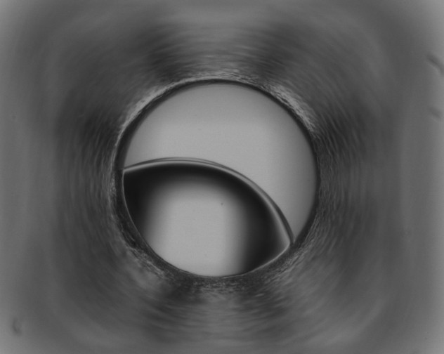 X0000092240532200709141005