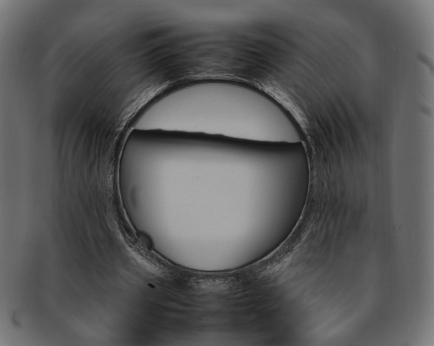 X0000092240533200709141005