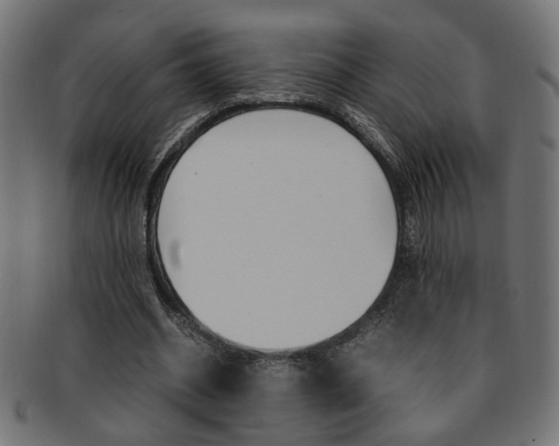 X0000092240534200709141005