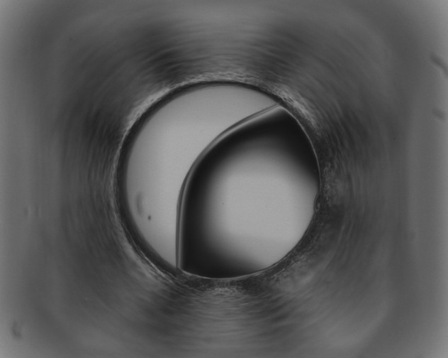 X0000092240536200709141005