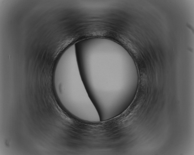 X0000092240537200709141005