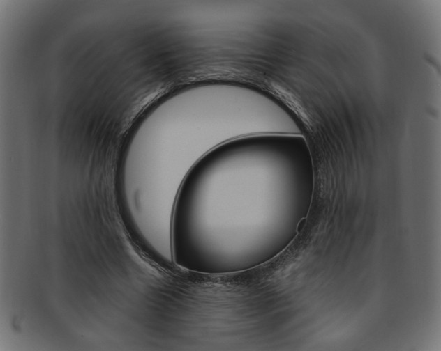 X0000092240538200709141005