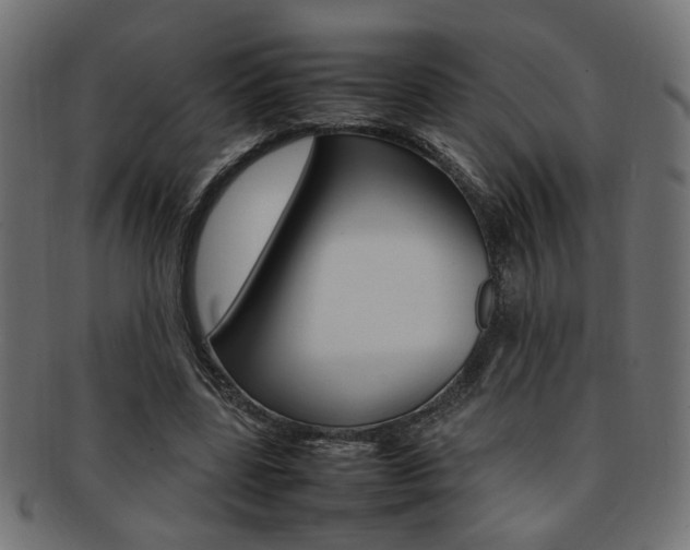 X0000092240539200709141005