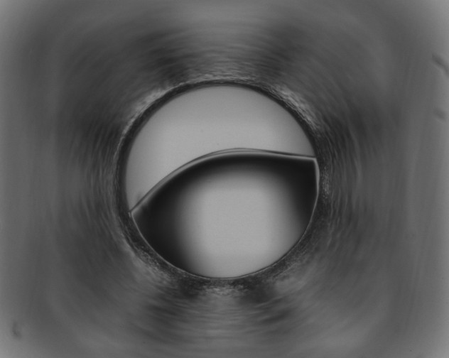 X0000092240540200709141005