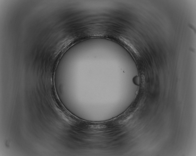 X0000092240541200709141005