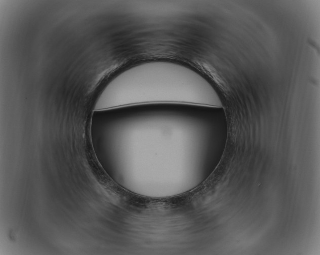 X0000092240543200709141005
