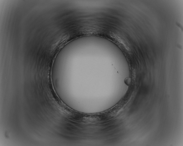 X0000092240545200709141005