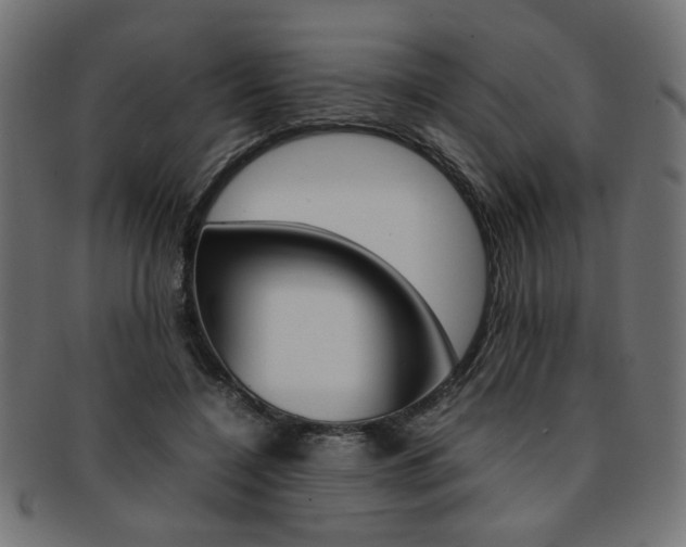 X0000092240548200709141005