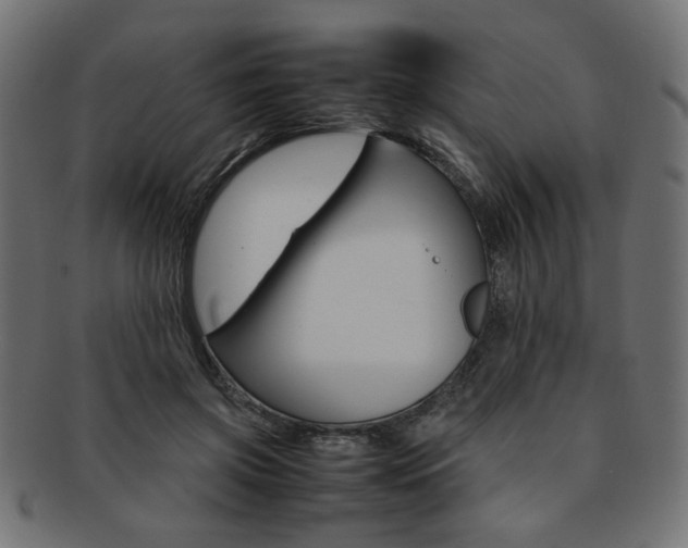 X0000092240549200709141005