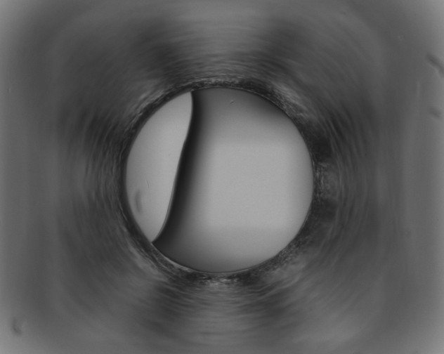 X0000092240550200709141005